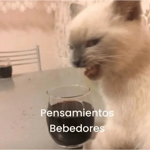 Vamos a lokear memes 🍺🍻