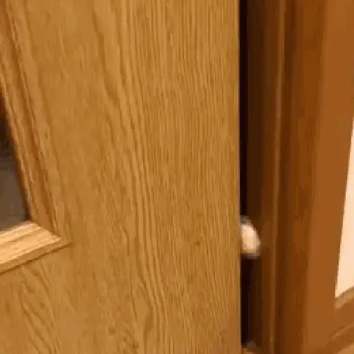 🐈‍⬛🐱🧶 GATOS | CATS 3 🧶🐱🐈‍⬛