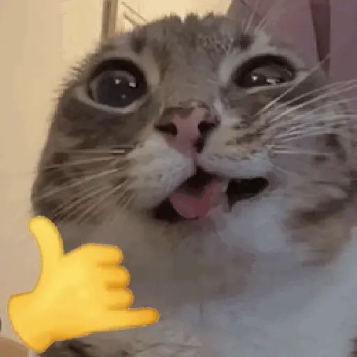 🐈‍⬛🐱🧶 GATOS | CATS 3 🧶🐱🐈‍⬛