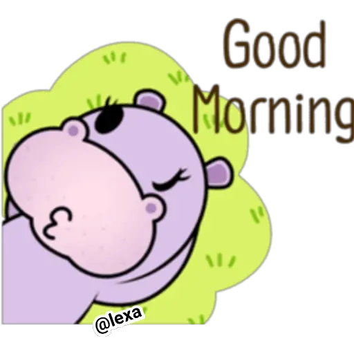 🦛 Cute hippo 🦛 