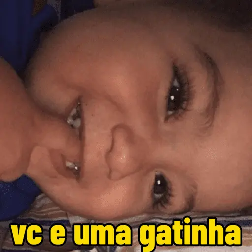 Falando em frases 