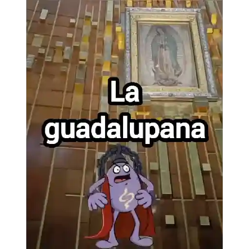 La guadalupana Omar chaparro 