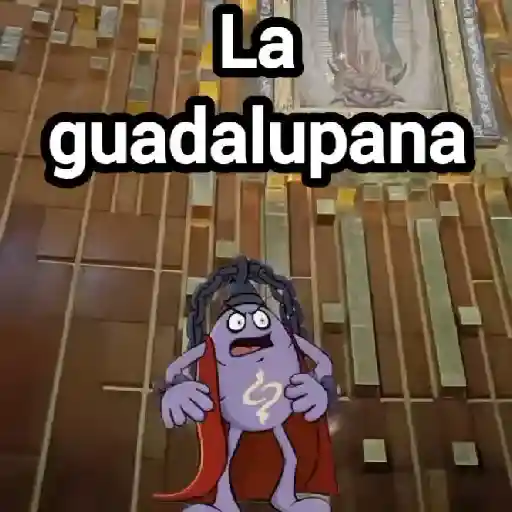 La guadalupana Omar chaparro 