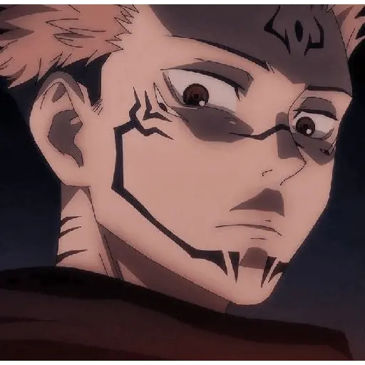jujutsu kaisen