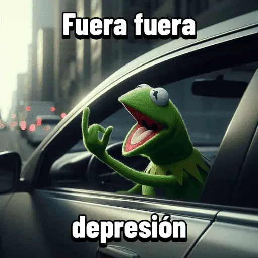 Fuera fuera depresión Meme 🎶🐸