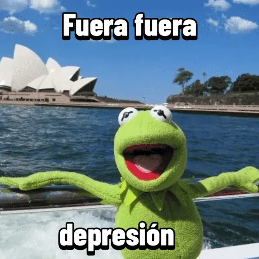 Fuera fuera depresión Meme 🎶🐸