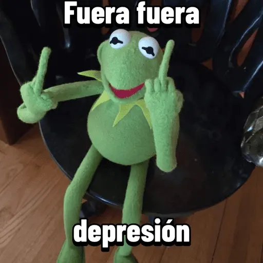 Fuera fuera depresión Meme 🎶🐸