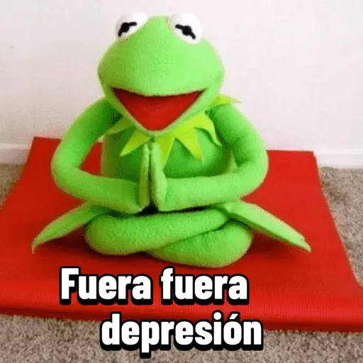 Fuera fuera depresión Meme 🎶🐸