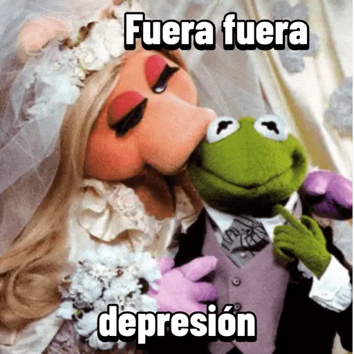 Fuera fuera depresión Meme 🎶🐸
