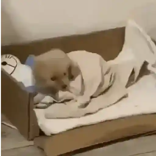 Frío ☃️ temblando ❄️