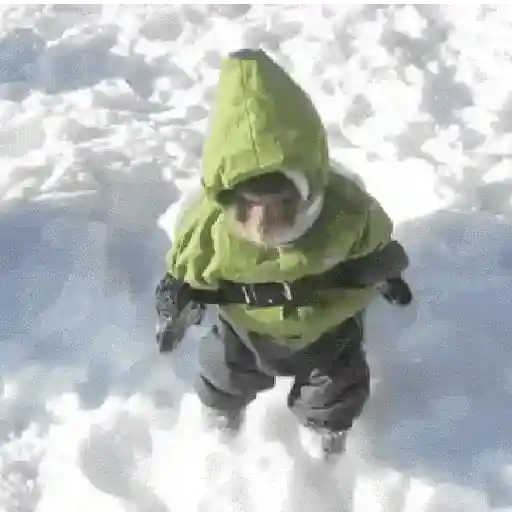 Frío ☃️ temblando ❄️