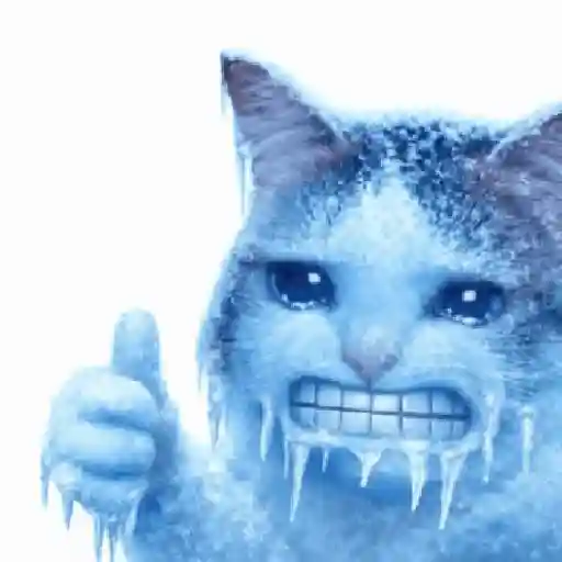 Frío ☃️ temblando ❄️