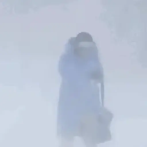Frío ☃️ temblando ❄️