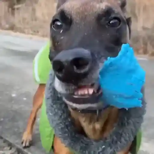 Frío ☃️ temblando ❄️