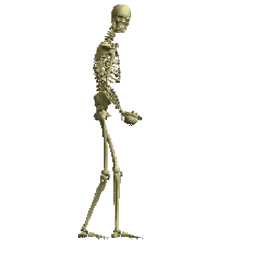 Esqueleto escudo 💀 skeleton 🛡️