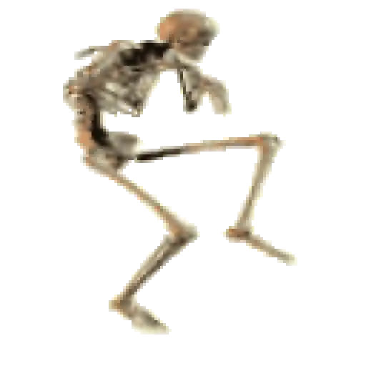 Esqueleto escudo 💀 skeleton 🛡️