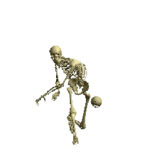 Esqueleto escudo 💀 skeleton 🛡️ preview