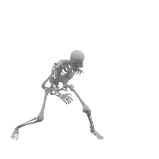 Esqueleto escudo 💀 skeleton 🛡️