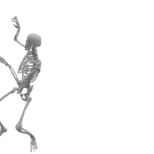 Esqueleto escudo 💀 skeleton 🛡️ preview