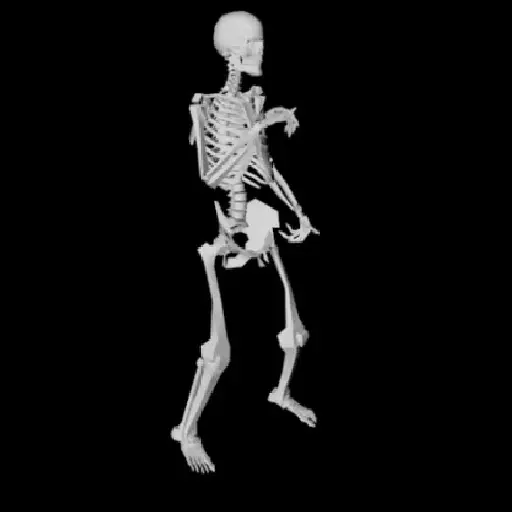 Esqueleto escudo 💀 skeleton 🛡️