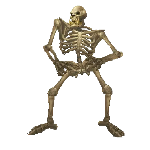 Esqueleto escudo 💀 skeleton 🛡️