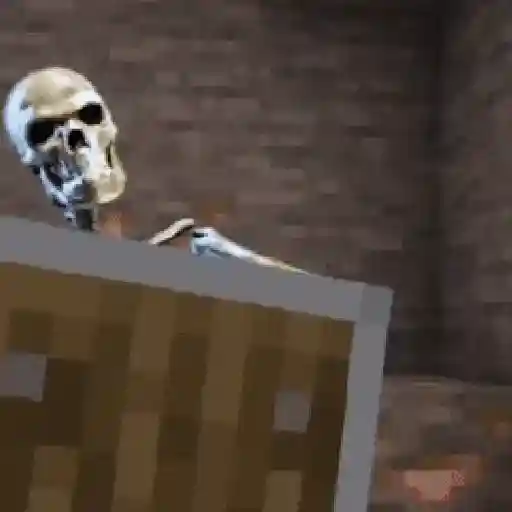 Esqueleto escudo 💀 skeleton 🛡️