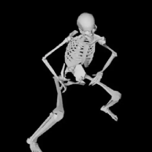 Esqueleto escudo 💀 skeleton 🛡️
