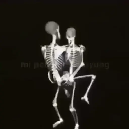 Esqueleto escudo 💀 skeleton 🛡️