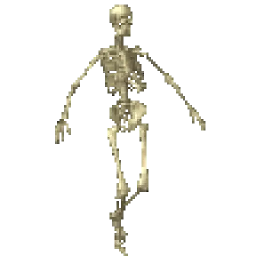 Esqueleto escudo 💀 skeleton 🛡️