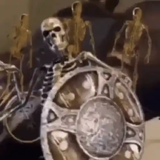 Esqueleto escudo 💀 skeleton 🛡️