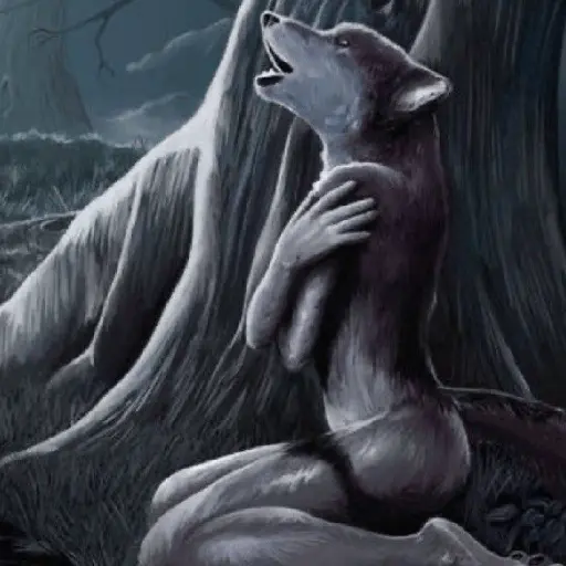 Lobo solitario🐺Loba solitaria🦊