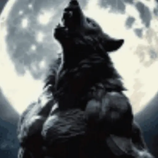 Lobo solitario🐺Loba solitaria🦊