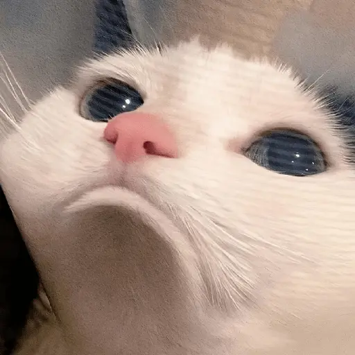 🥲🪾😭 TRISTE | SAD 3 🥲🪾😭