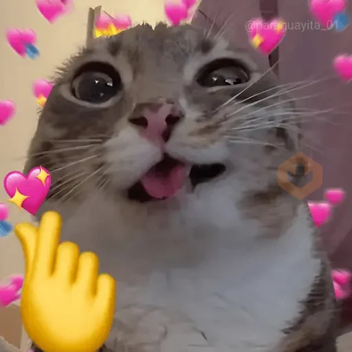 💞💖 AMOR 12 💖💞 sticker 12