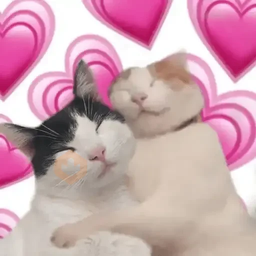 Amor Cute💖💙💘 sticker 12