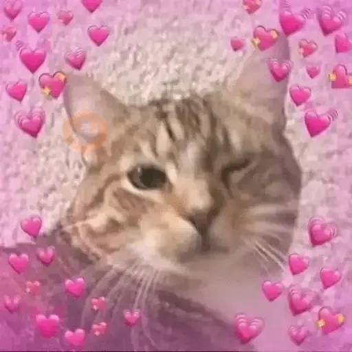 Amor Cute💖💙💘 sticker 29