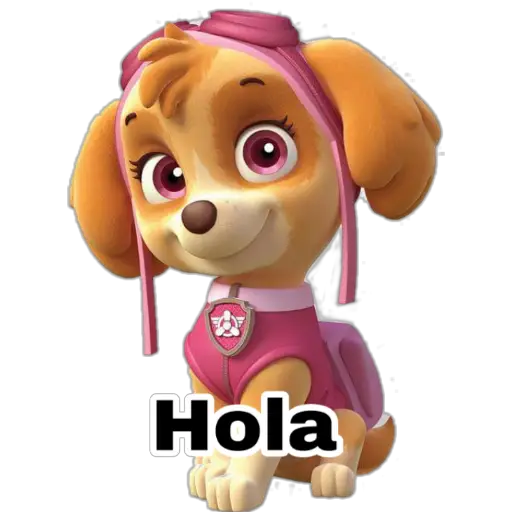 Paw patrol 