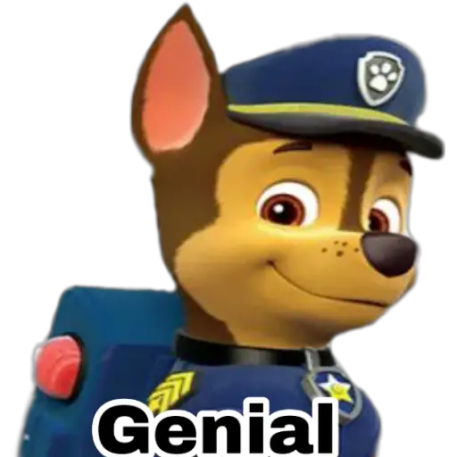 Paw patrol 