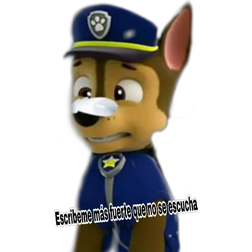Paw patrol 