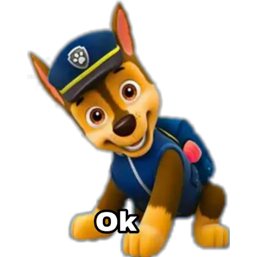 Paw patrol 
