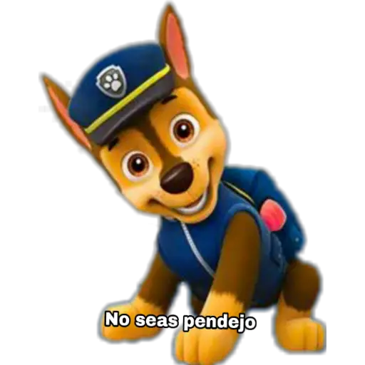 Paw patrol 