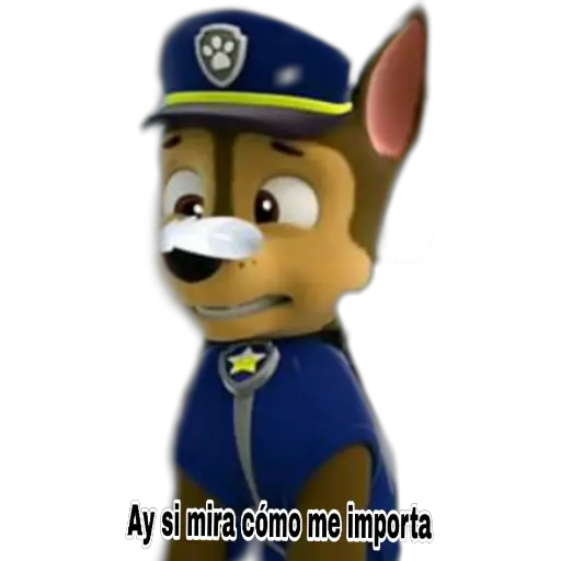 Paw patrol 