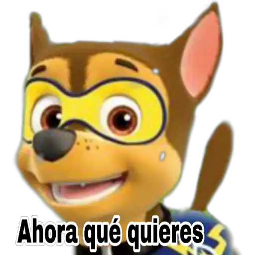 Paw patrol 