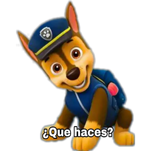 Paw patrol 