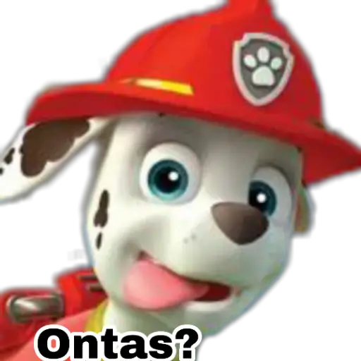 Paw patrol 