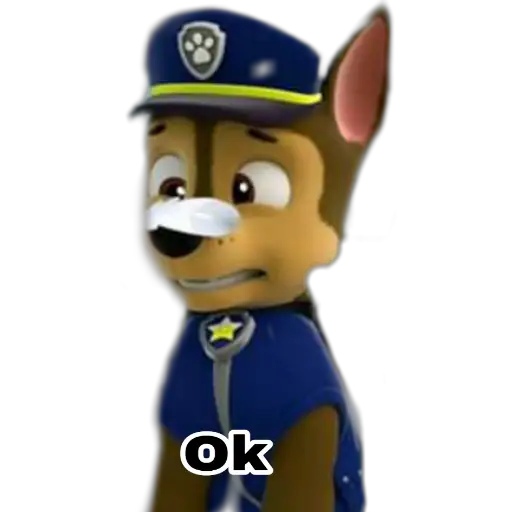 Paw patrol 