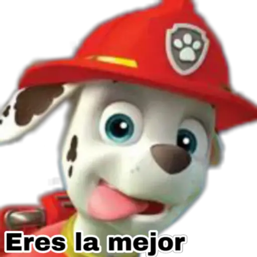 Paw patrol 