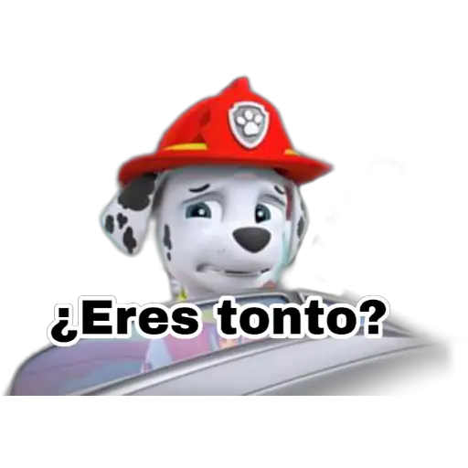 Paw patrol 