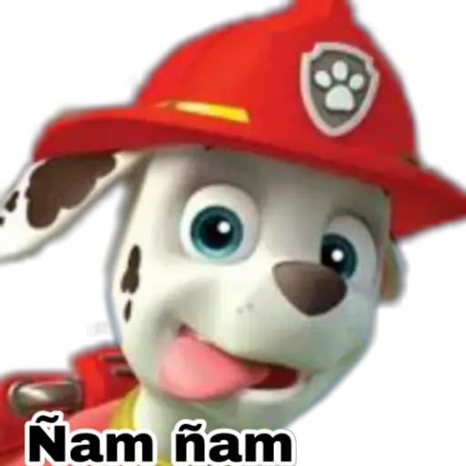 Paw patrol  preview