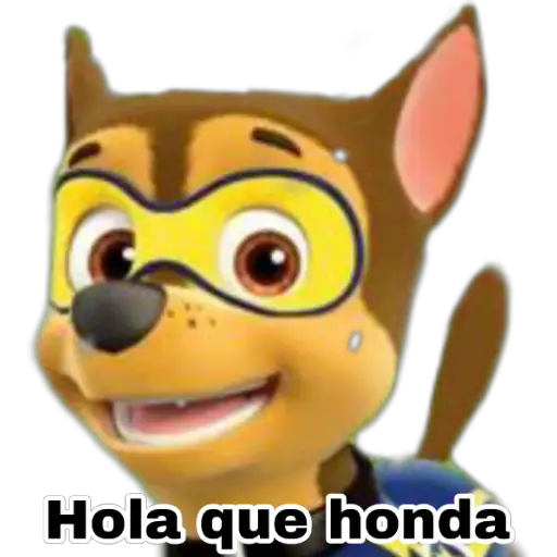 Paw patrol 